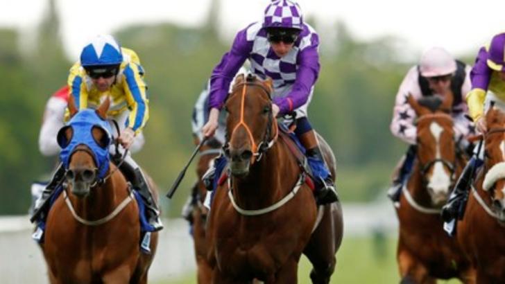 Timeform pick out their three best bets in North America tonight
